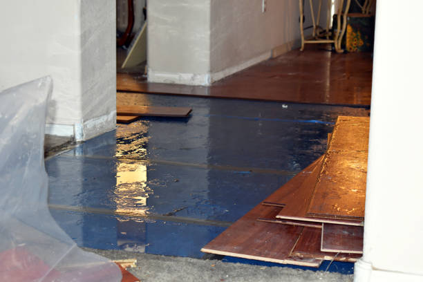 Professional Sewage Cleanup technician working in Ogden, KS