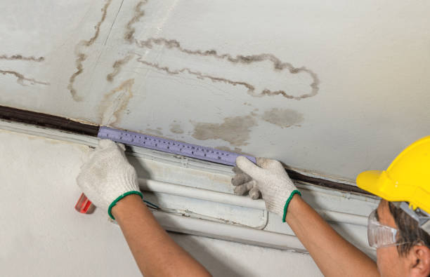 Reliable Sewage Cleanup contractor in Ogden, KS by Water Damage Irwin